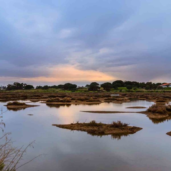 ria formosa algarve