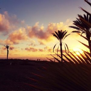 canary islands surf